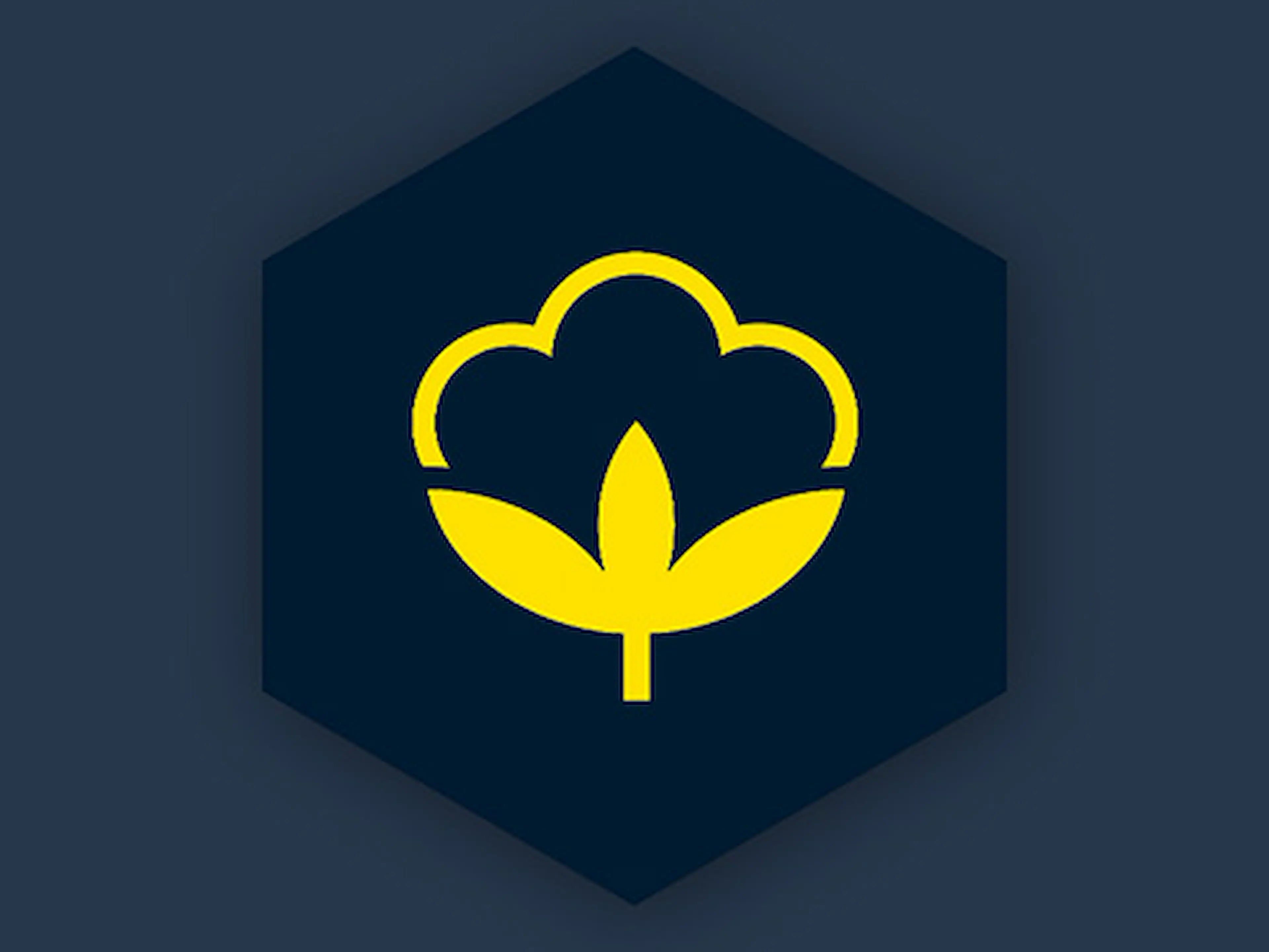 bci_480x360