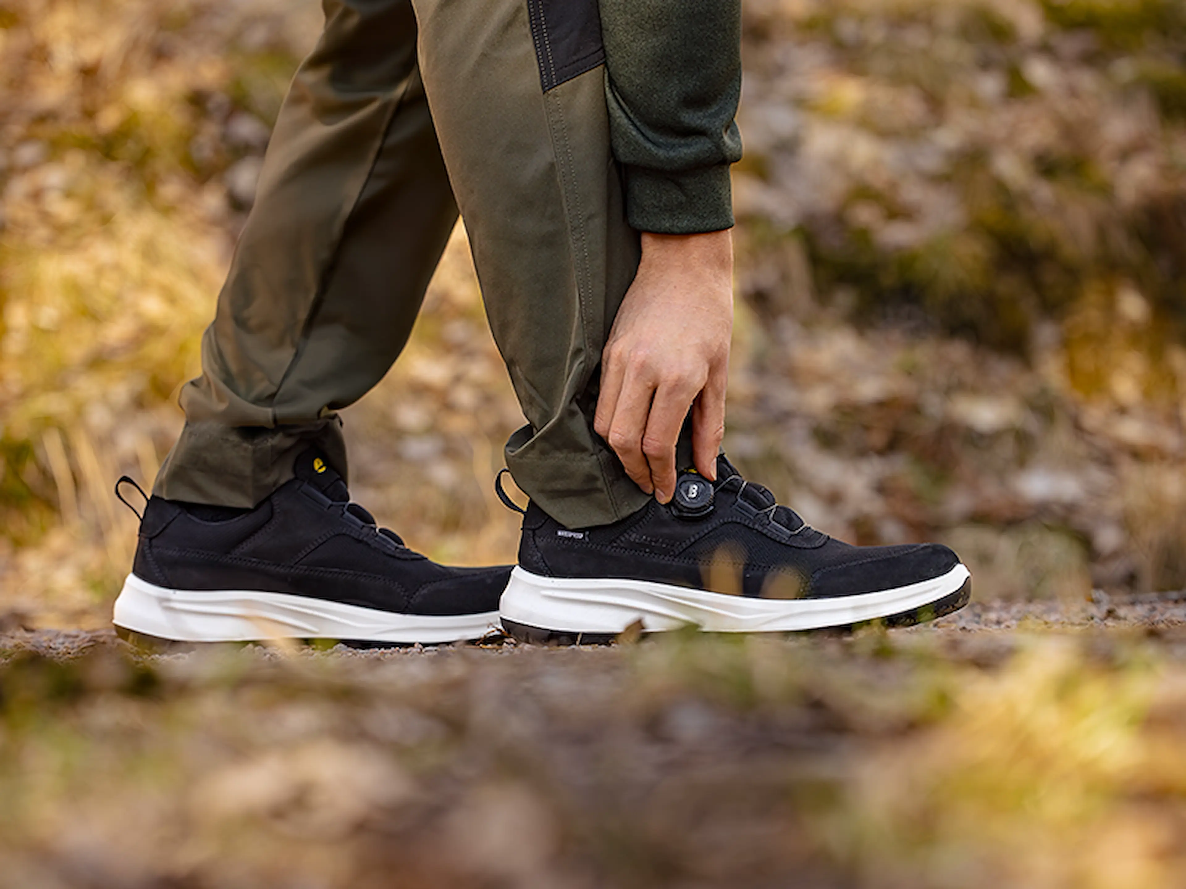 shoe_pilot_2436_800x600