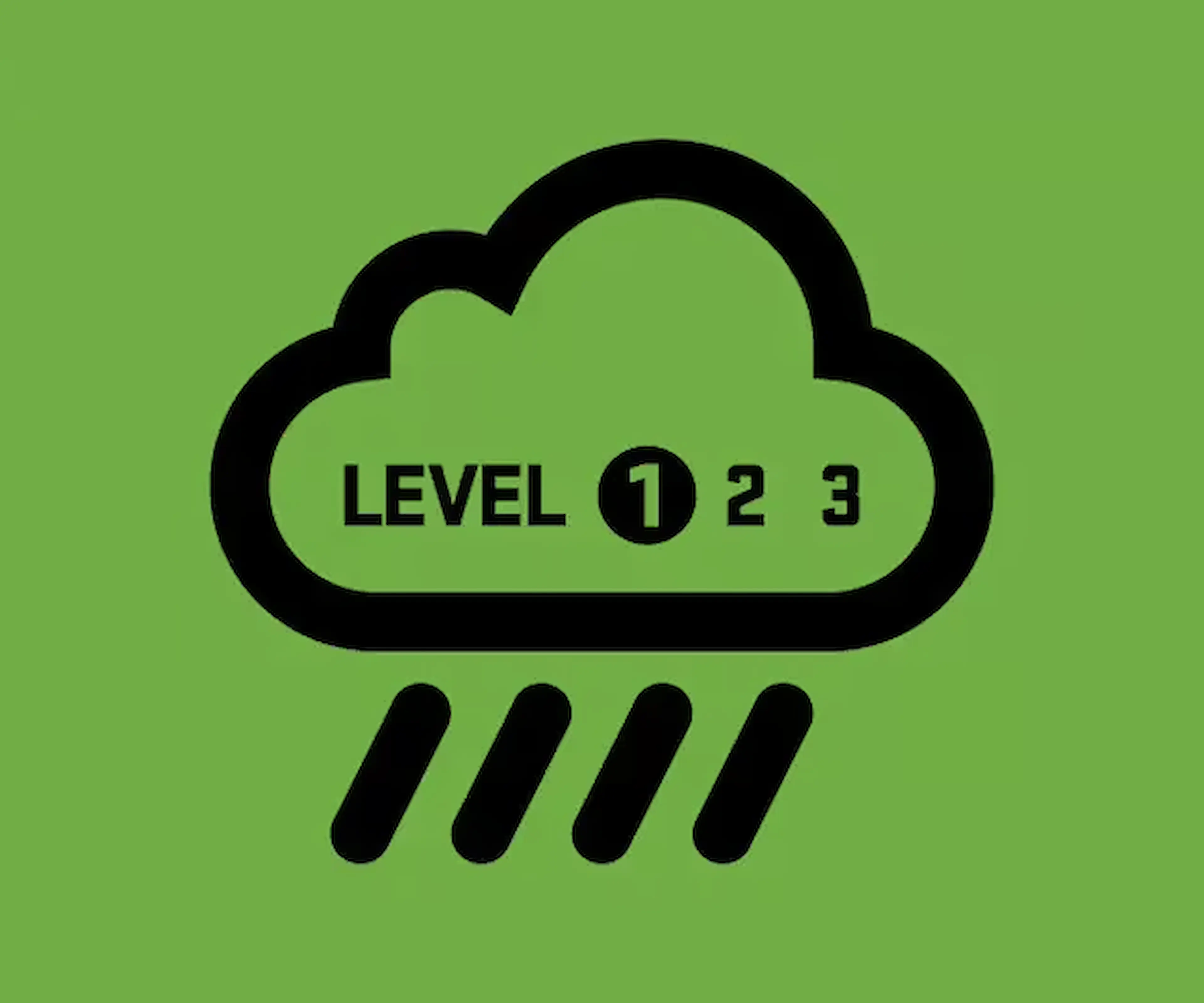 Level 1