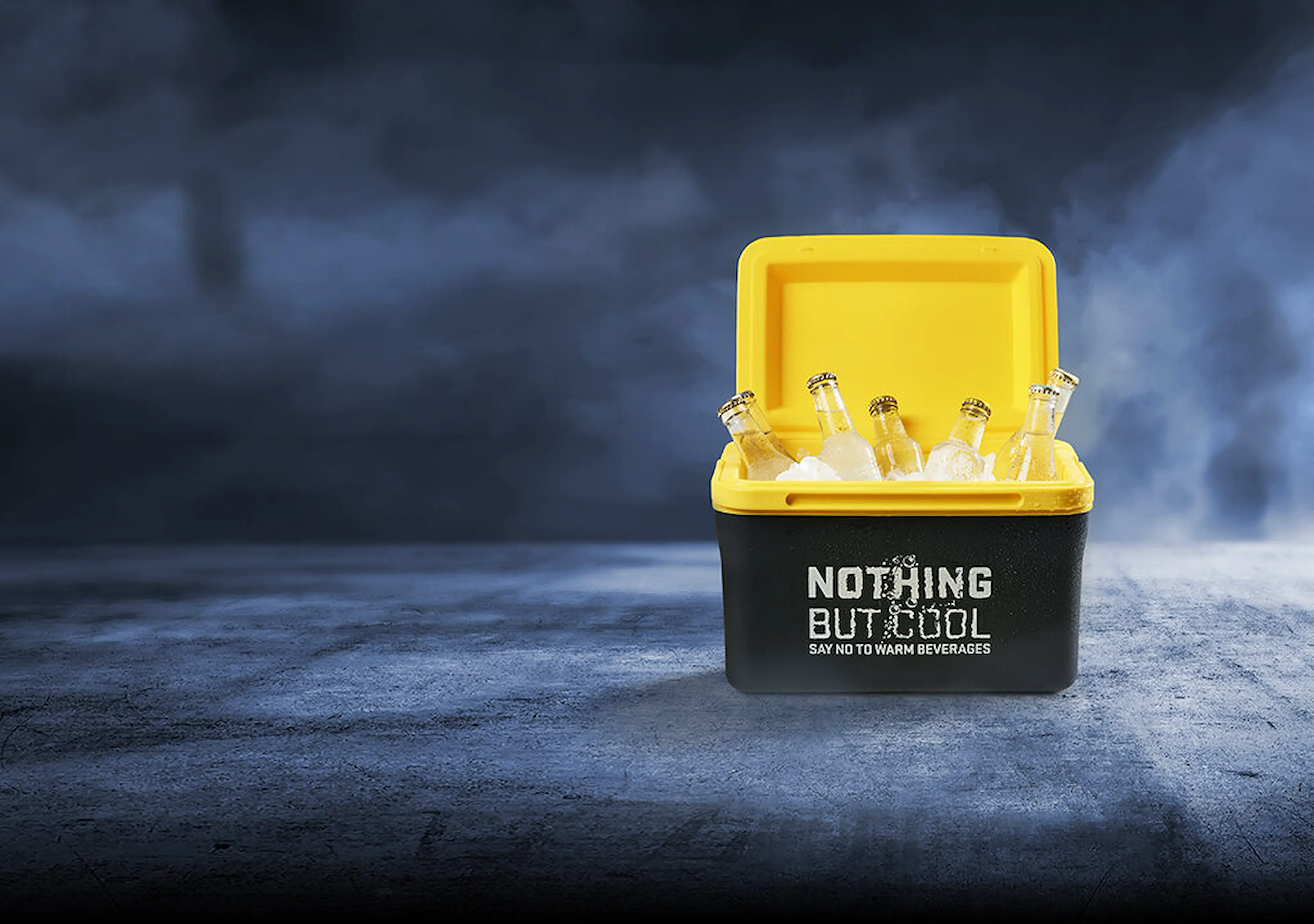 ECM_NextCampaign_1680x720px_Cooler