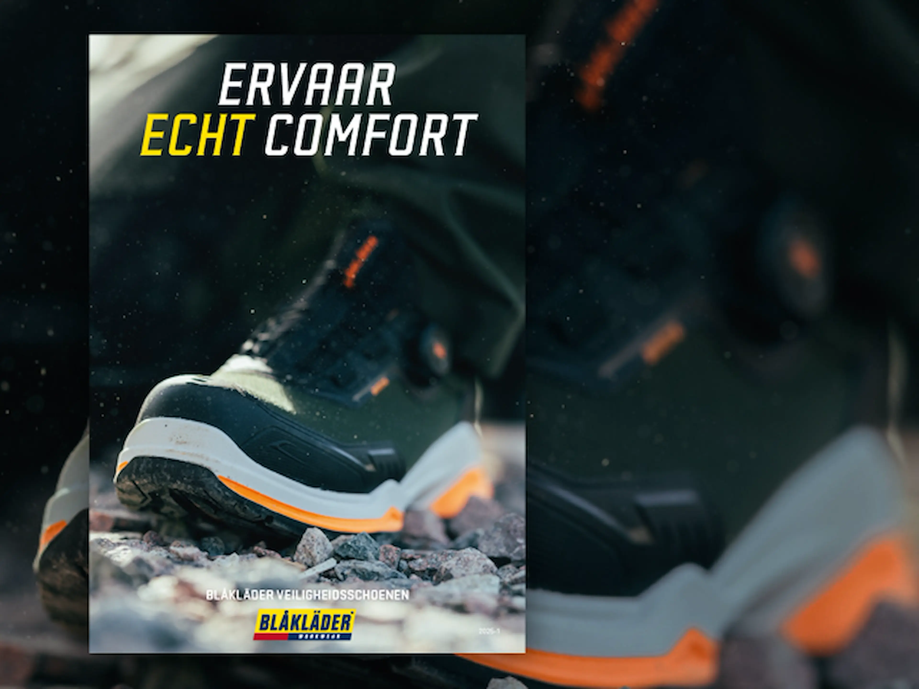 banner-brochure-shoes