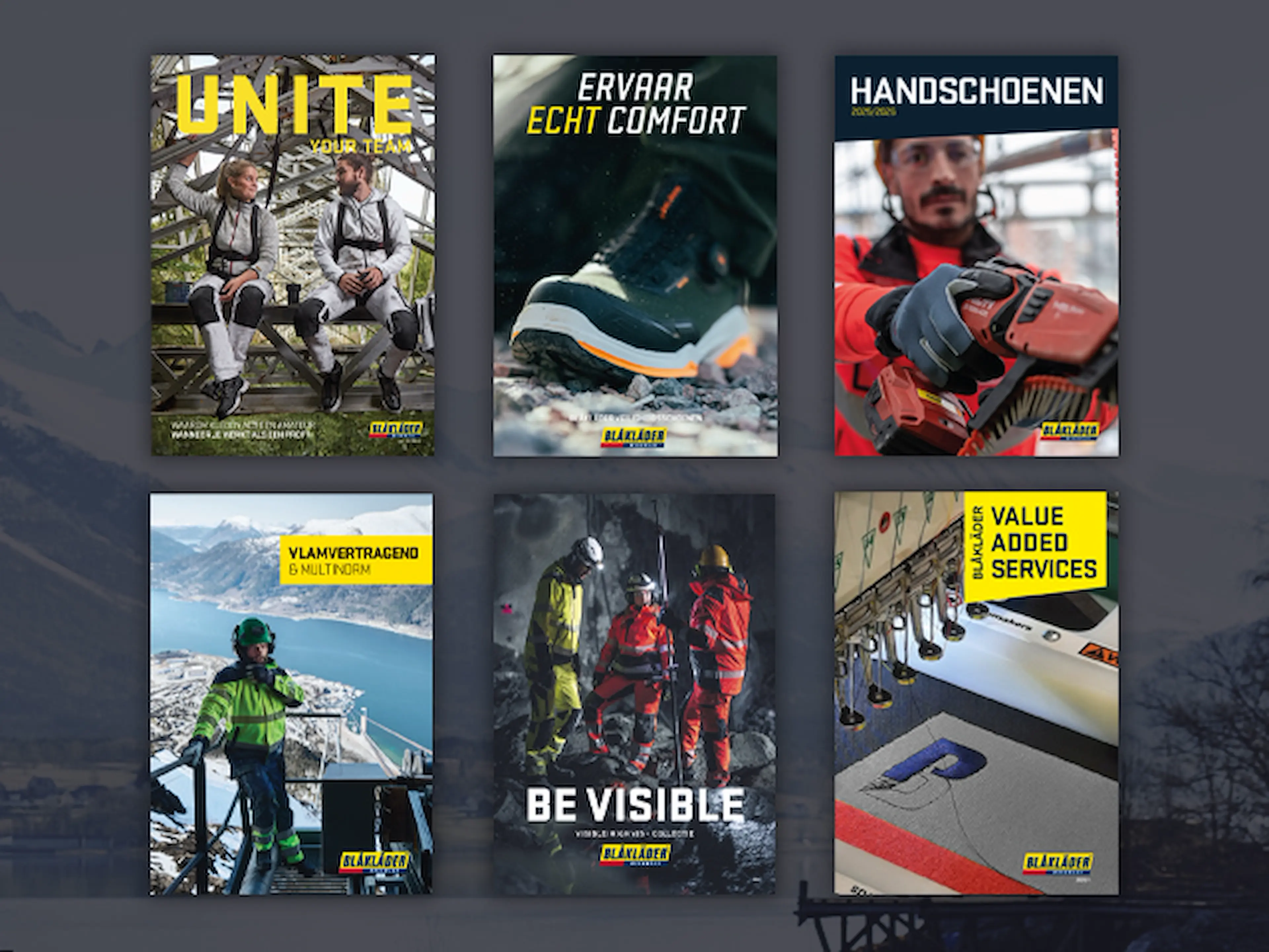 banner-brochure
