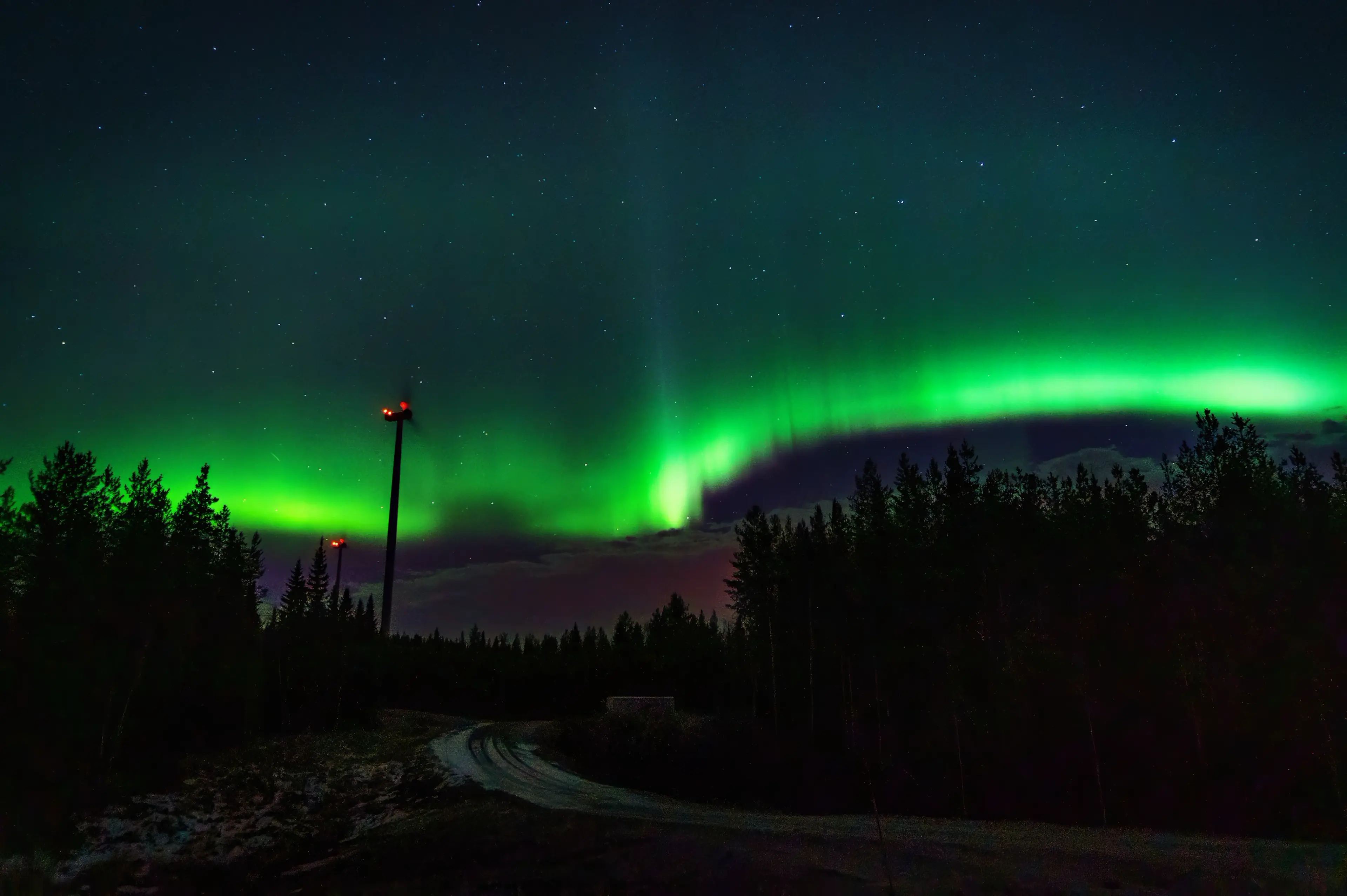 large_preview-1-jpeg