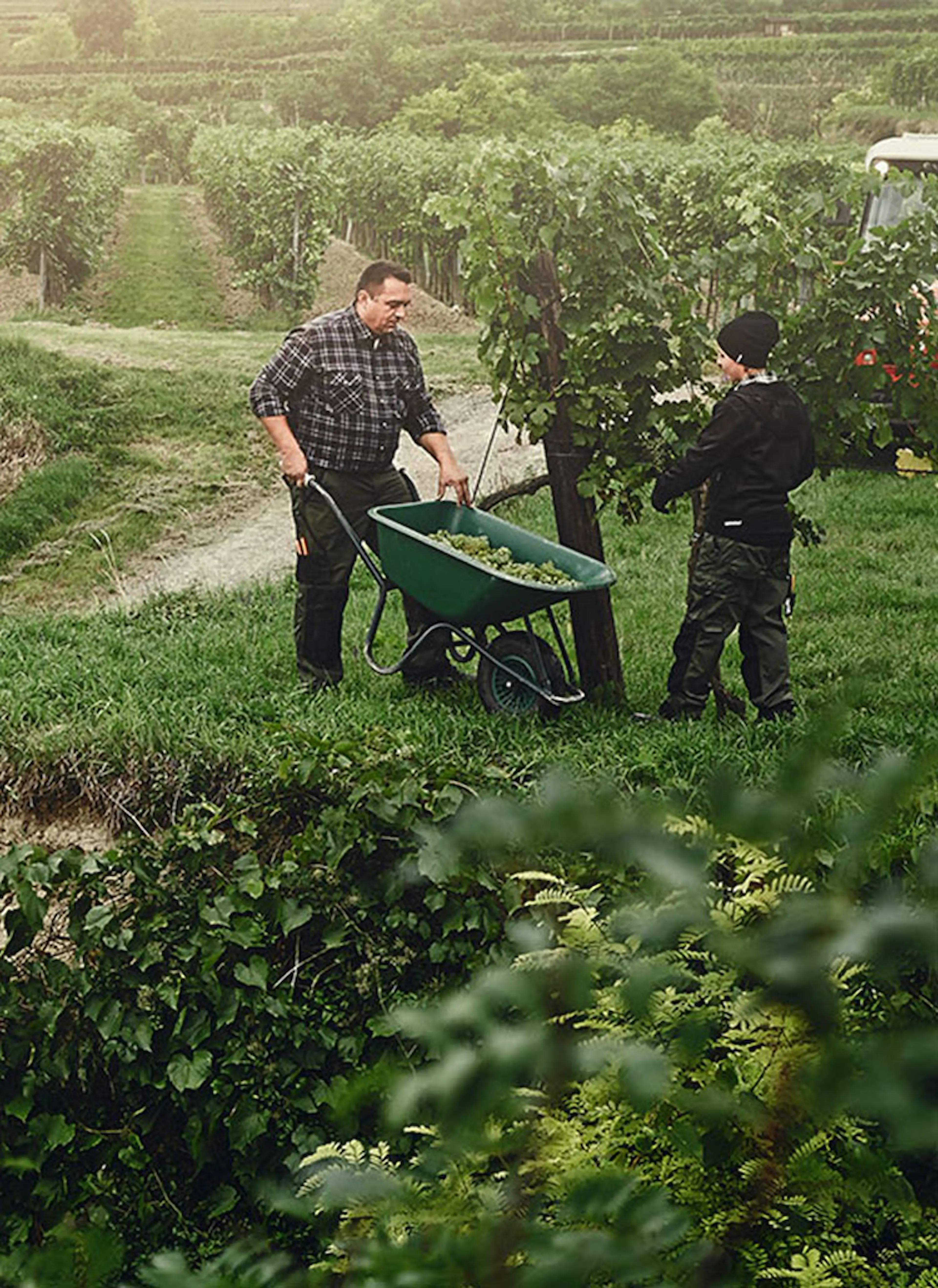 garden_3_750x1030