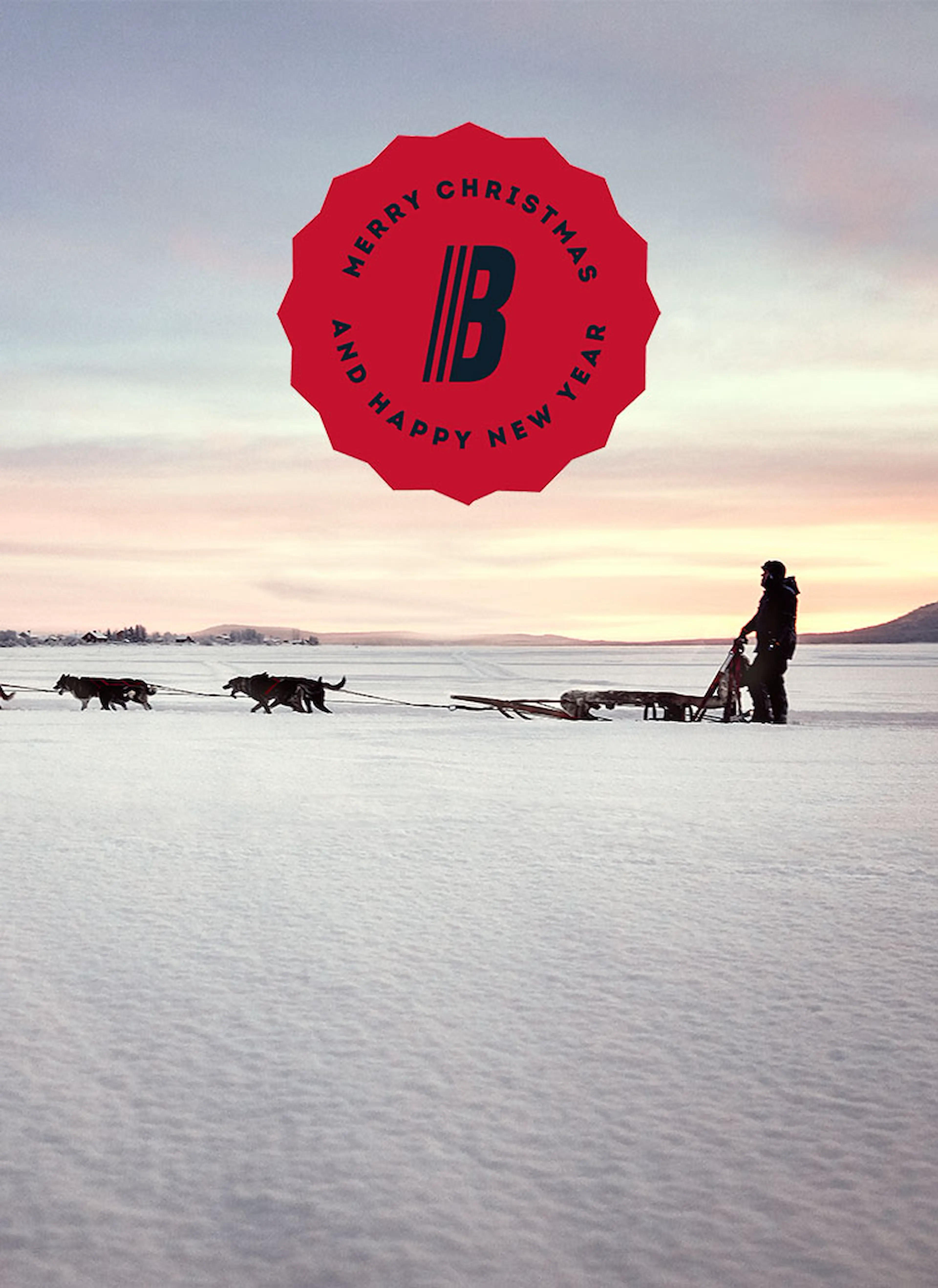 snow_sleigh_christmas_24-center_750x1030