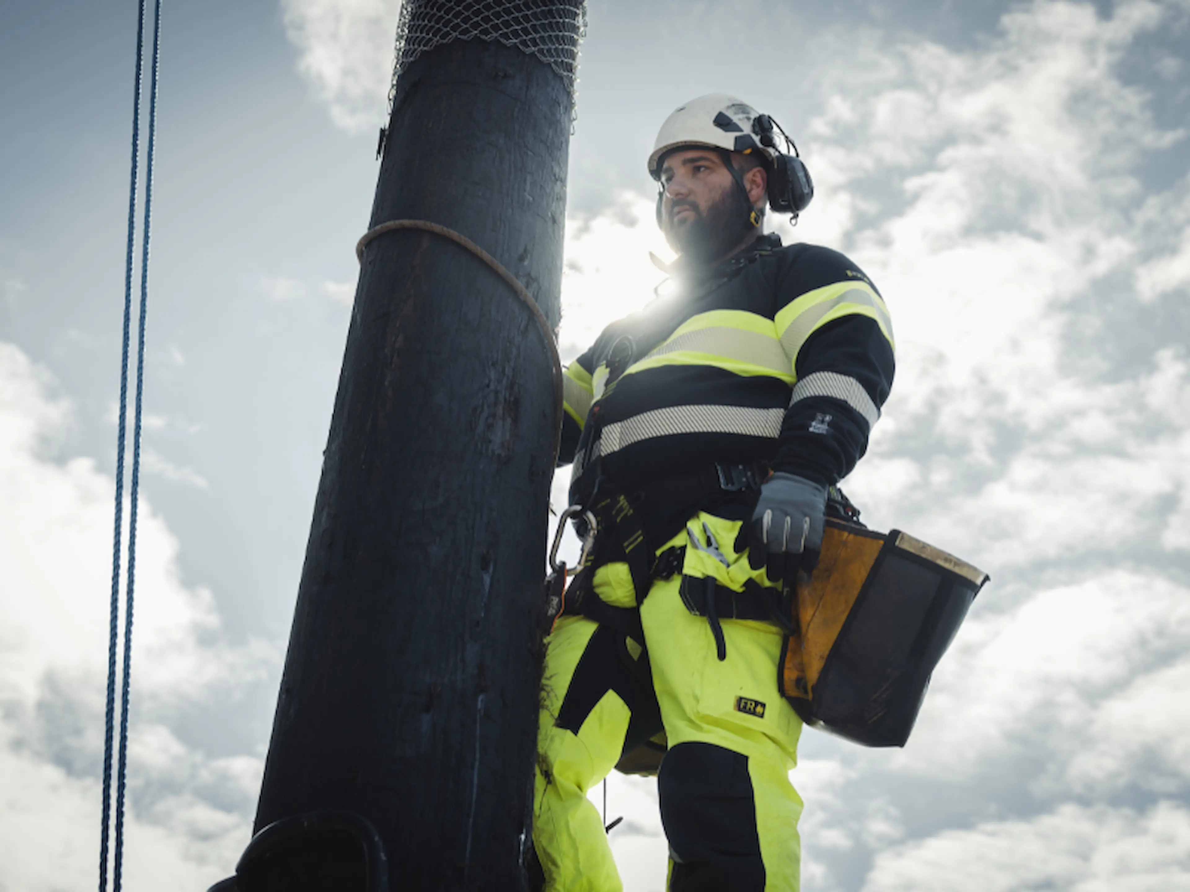 Multinorm-800600-www