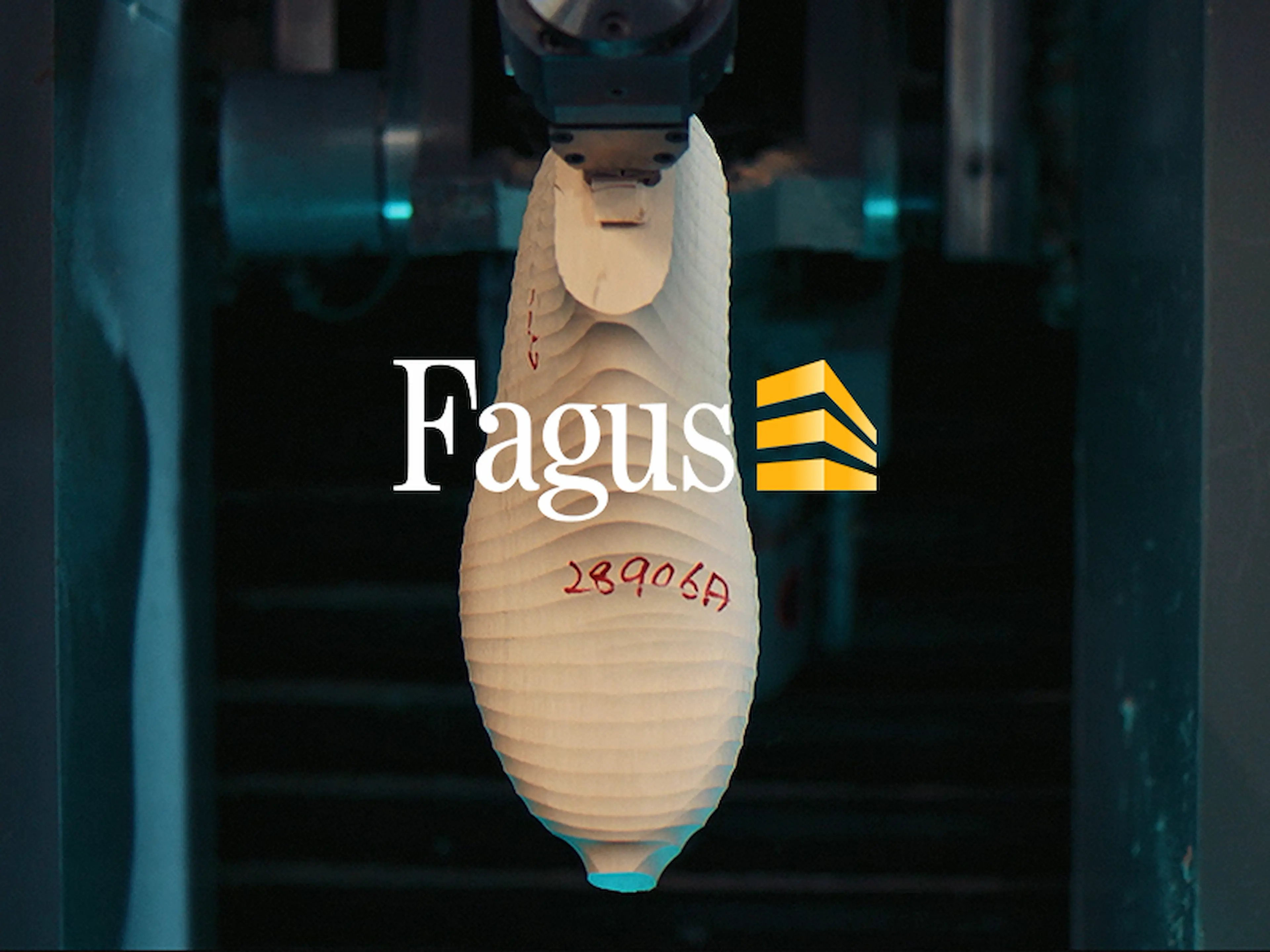 4_3_Fagus_800x600